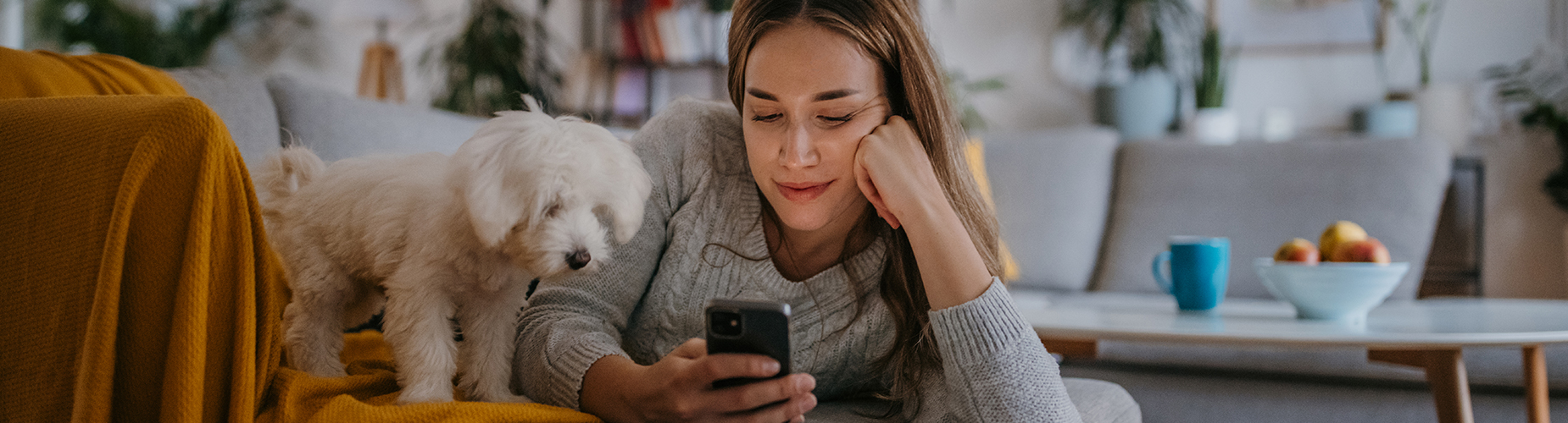 Hund und Frauchen blicken auf Smartphone