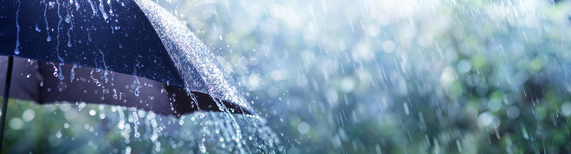 Es regnet in Strömen - Regenschirm schützt vor Unwetter