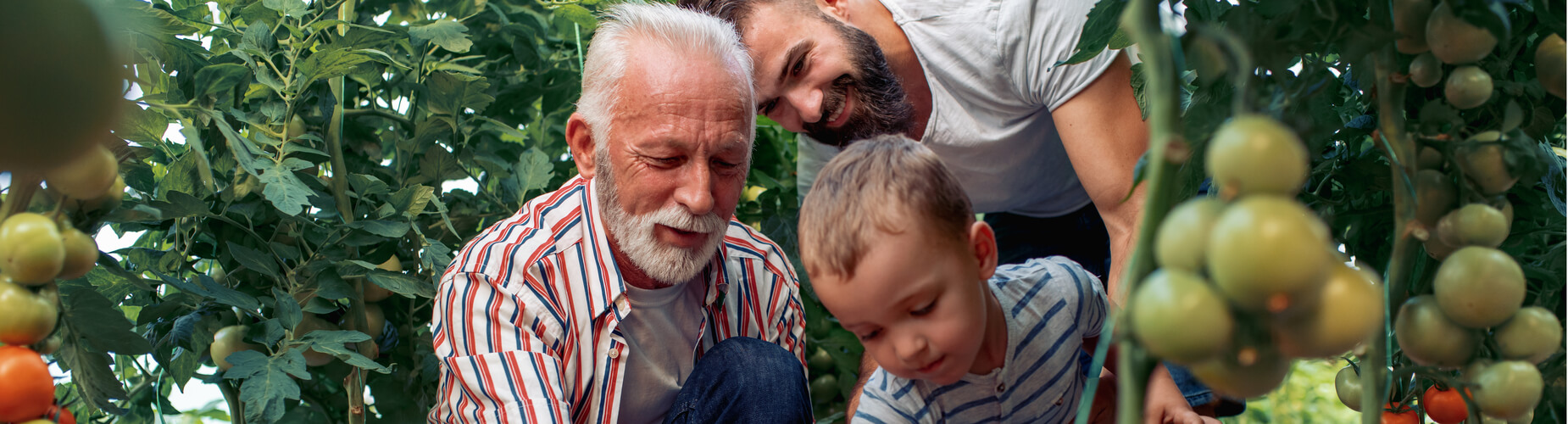 Opa, Sohn und Enkel im Garten